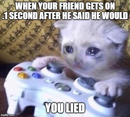Sad Gamer Cat | WHEN YOUR FRIEND GETS ON .1 SECOND AFTER HE SAID HE WOULD; YOU LIED | image tagged in sad gamer cat | made w/ Imgflip meme maker