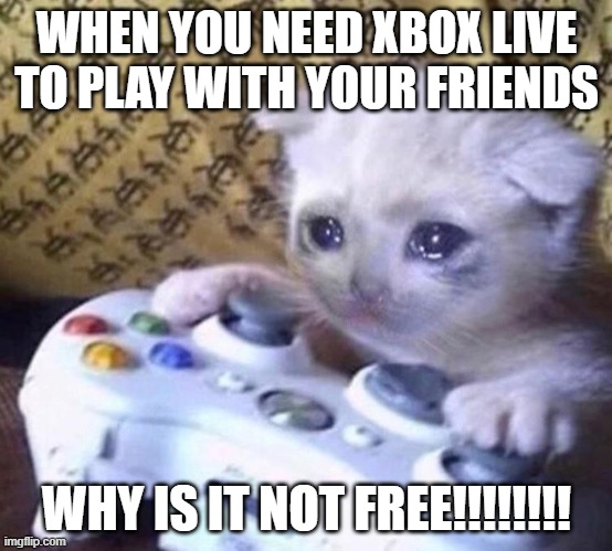 Sadness | WHEN YOU NEED XBOX LIVE TO PLAY WITH YOUR FRIENDS; WHY IS IT NOT FREE!!!!!!!! | image tagged in sad gamer cat | made w/ Imgflip meme maker