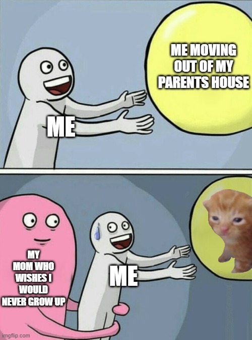 why is my mom like this | ME MOVING OUT OF MY PARENTS HOUSE; ME; MY MOM WHO WISHES I WOULD NEVER GROW UP; ME | image tagged in memes,running away balloon | made w/ Imgflip meme maker