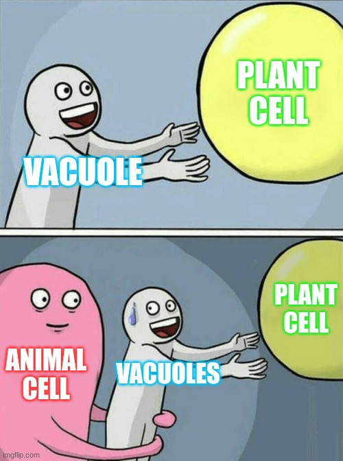 Running Away Balloon | PLANT CELL; VACUOLE; PLANT CELL; ANIMAL CELL; VACUOLES | image tagged in memes,running away balloon | made w/ Imgflip meme maker