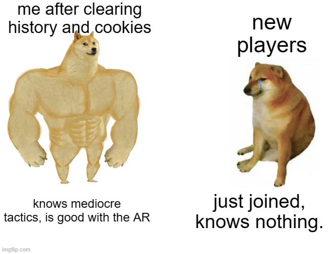 krunker meme | me after clearing history and cookies; new players; knows mediocre tactics, is good with the AR; just joined, knows nothing. | image tagged in memes,buff doge vs cheems | made w/ Imgflip meme maker