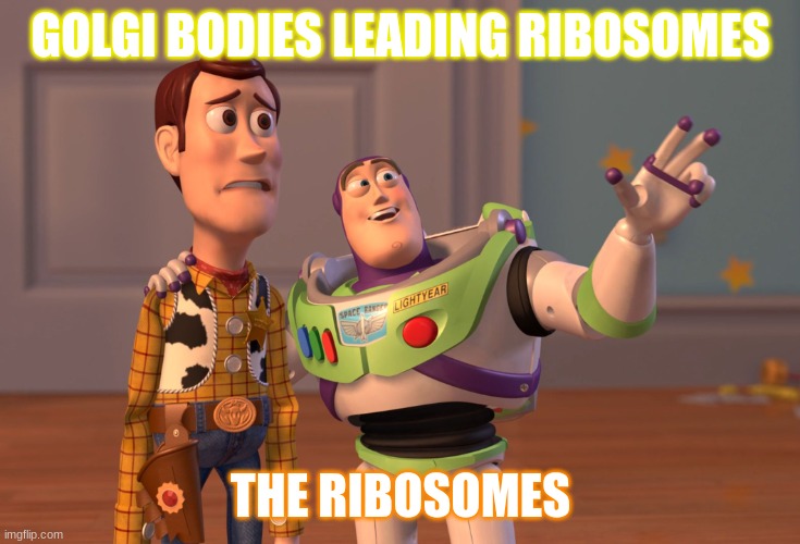 X, X Everywhere | GOLGI BODIES LEADING RIBOSOMES; THE RIBOSOMES | image tagged in memes,x x everywhere | made w/ Imgflip meme maker