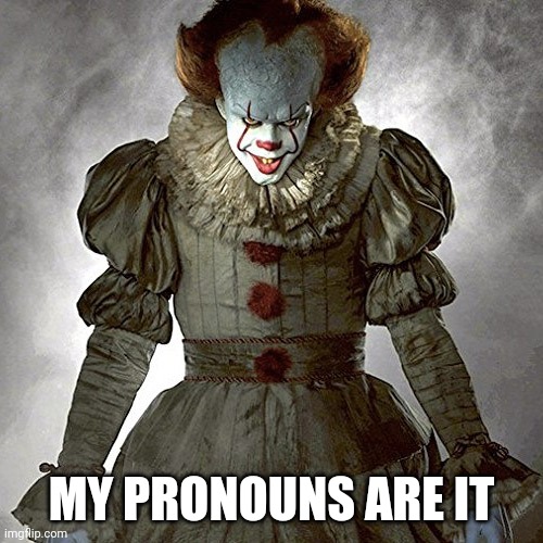 It | MY PRONOUNS ARE IT | image tagged in funny memes | made w/ Imgflip meme maker