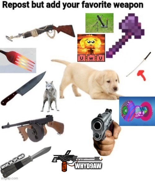 repost but add your favorite weapon | WHYD9AW | image tagged in repost | made w/ Imgflip meme maker