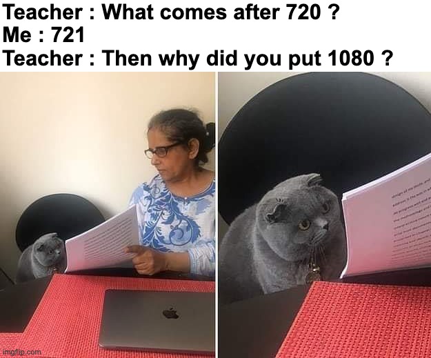 "Oops'' | Teacher : What comes after 720 ?
Me : 721
Teacher : Then why did you put 1080 ? | image tagged in memes,funny,cats,school,teacher,front page plz | made w/ Imgflip meme maker