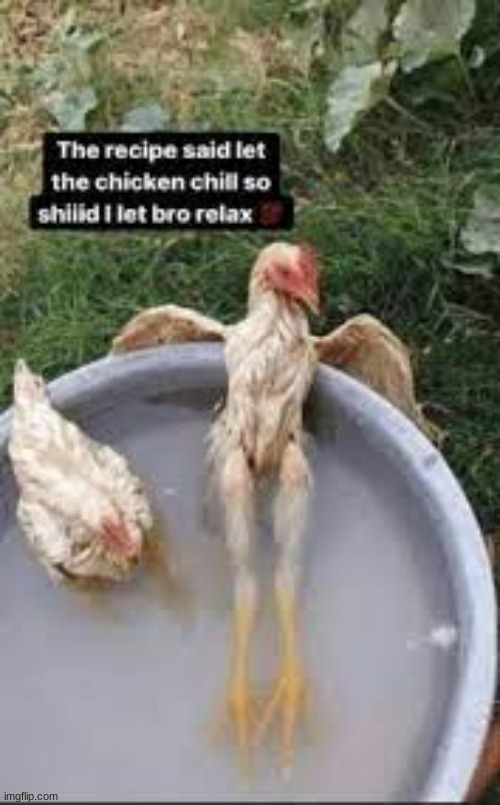 Chicken #29 | image tagged in cursed,cursed image,fun | made w/ Imgflip meme maker