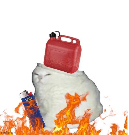 Oh no hes an arsonist | image tagged in party hat cat,memes,funny,cats | made w/ Imgflip meme maker