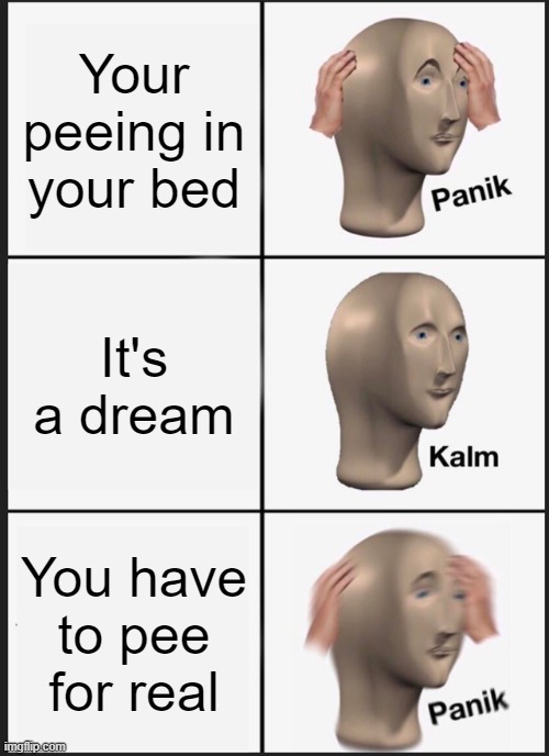 Panik Kalm Panik | Your peeing in your bed; It's a dream; You have to pee for real | image tagged in memes,panik kalm panik | made w/ Imgflip meme maker