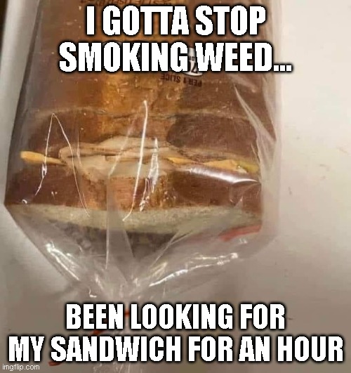 I GOTTA STOP SMOKING WEED... BEEN LOOKING FOR MY SANDWICH FOR AN HOUR | image tagged in funny memes,weed,lol so funny | made w/ Imgflip meme maker