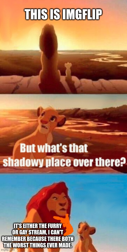 Simba Shadowy Place | THIS IS IMGFLIP; IT'S EITHER THE FURRY OR GAY STREAM, I CAN'T REMEMBER BECAUSE THERE BOTH THE WORST THINGS EVER MADE. | image tagged in memes,simba shadowy place,anti-furry | made w/ Imgflip meme maker
