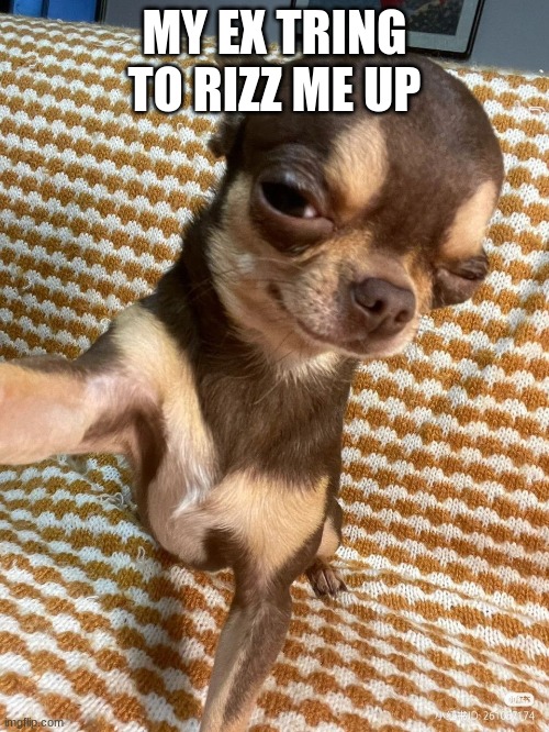 Dog Rizz | MY EX TRING TO RIZZ ME UP | image tagged in dog rizz | made w/ Imgflip meme maker