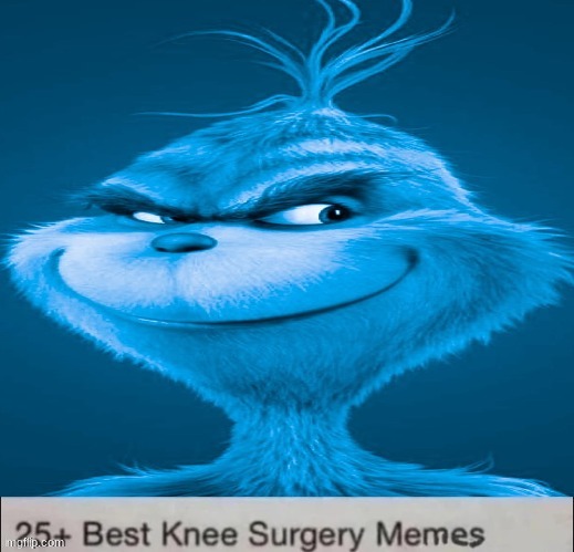 Blue Grinch Knee Surgery template | image tagged in blue grinch knee surgery template | made w/ Imgflip meme maker