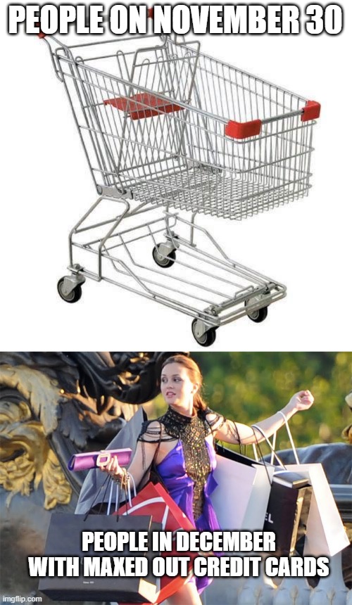 shopping addicts | PEOPLE ON NOVEMBER 30; PEOPLE IN DECEMBER WITH MAXED OUT CREDIT CARDS | image tagged in shopping cart,shoppingaddict | made w/ Imgflip meme maker