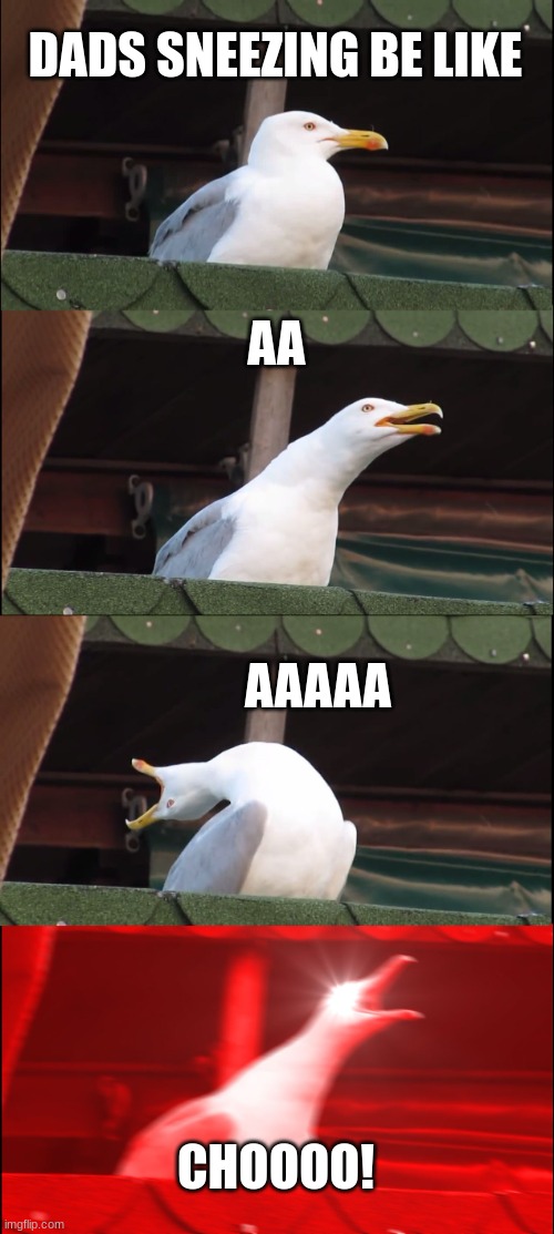 dads be like | DADS SNEEZING BE LIKE; AA; AAAAA; CHOOOO! | image tagged in memes,inhaling seagull,dads,sneezing | made w/ Imgflip meme maker