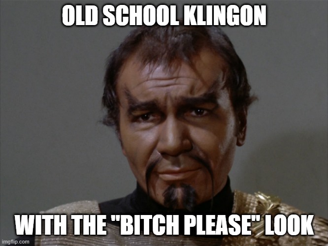 The Look | OLD SCHOOL KLINGON; WITH THE "BITCH PLEASE" LOOK | image tagged in star trek tos kor | made w/ Imgflip meme maker