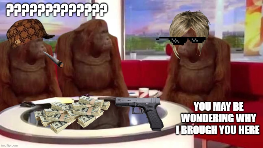 lol | ????????????? YOU MAY BE WONDERING WHY I BROUGH YOU HERE | image tagged in where monkey | made w/ Imgflip meme maker