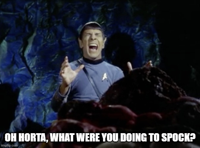 Naughty Horta | OH HORTA, WHAT WERE YOU DOING TO SPOCK? | image tagged in spock scream | made w/ Imgflip meme maker