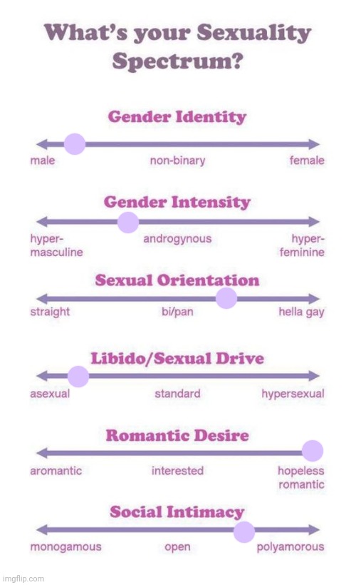 What's your sexuality spectrum? | image tagged in what's your sexuality spectrum | made w/ Imgflip meme maker