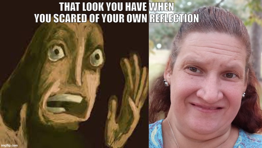 THAT LOOK YOU HAVE WHEN YOU SCARED OF YOUR OWN REFLECTION | made w/ Imgflip meme maker