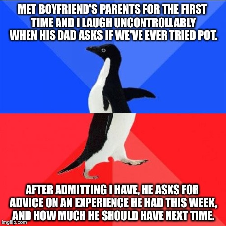 Socially Awkward Awesome Penguin Meme | MET BOYFRIEND'S PARENTS FOR THE FIRST TIME AND I LAUGH UNCONTROLLABLY WHEN HIS DAD ASKS IF WE'VE EVER TRIED POT. AFTER ADMITTING I HAVE, HE  | image tagged in socially awkward awesome penguin,AdviceAnimals | made w/ Imgflip meme maker