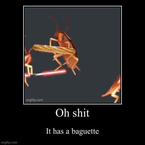 Baguette oui oui | Oh shit | It has a baguette | image tagged in funny,demotivationals | made w/ Imgflip demotivational maker