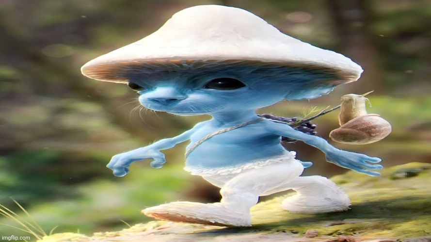 Smurf cat meme | image tagged in smurf cat meme | made w/ Imgflip meme maker