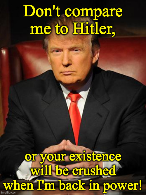 Trump vs. Hitler | Don't compare me to Hitler, or your existence will be crushed
when I'm back in power! | image tagged in serious trump | made w/ Imgflip meme maker