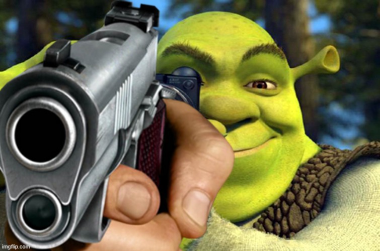 shrek camera | image tagged in shrek camera | made w/ Imgflip meme maker