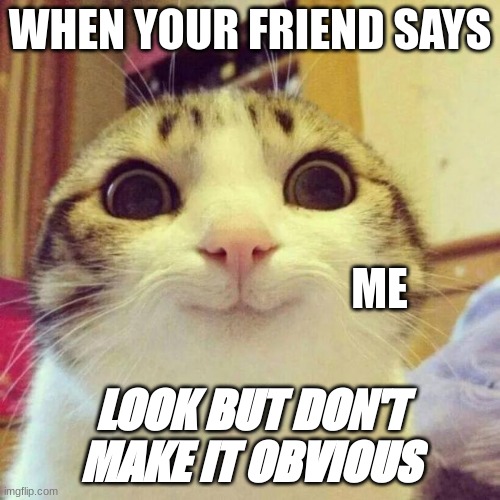 Smiling Cat Meme | WHEN YOUR FRIEND SAYS; ME; LOOK BUT DON'T MAKE IT OBVIOUS | image tagged in memes,smiling cat | made w/ Imgflip meme maker