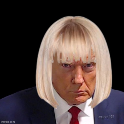 trump | image tagged in trump,maga morons,qanon morons,clown car republicans,wig,florida | made w/ Imgflip meme maker