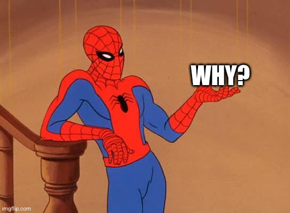 You know why I'm here Spiderman  | WHY? | image tagged in you know why i'm here spiderman | made w/ Imgflip meme maker
