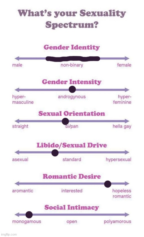 What's your sexuality spectrum? | image tagged in what's your sexuality spectrum,i have your ip address | made w/ Imgflip meme maker