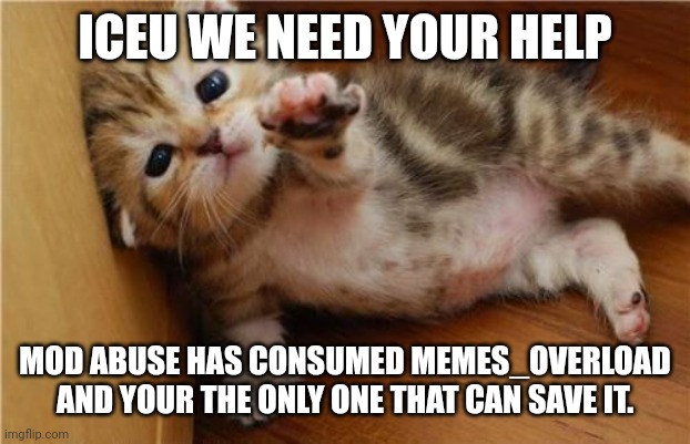 Help us Iceu | ICEU WE NEED YOUR HELP; MOD ABUSE HAS CONSUMED MEMES_OVERLOAD AND YOUR THE ONLY ONE THAT CAN SAVE IT. | image tagged in help me kitten | made w/ Imgflip meme maker