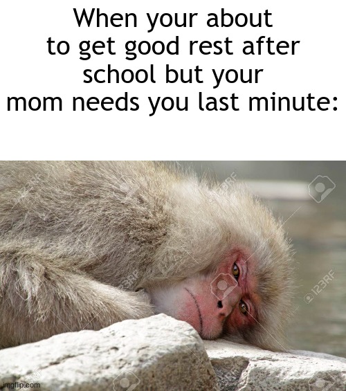 Is relatable | When your about to get good rest after school but your mom needs you last minute: | image tagged in 'memes',monke,sleep,moms | made w/ Imgflip meme maker