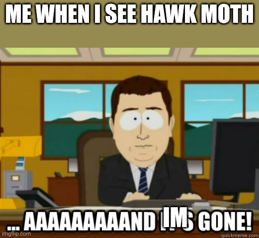 and its gone | ME WHEN I SEE HAWK MOTH IM | image tagged in and its gone | made w/ Imgflip meme maker
