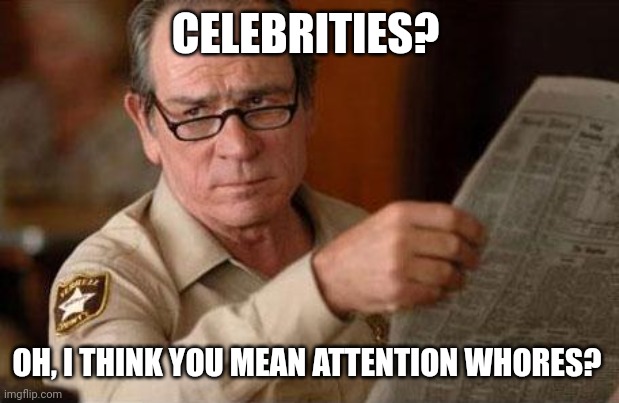 TML Look Is a Facepalm | CELEBRITIES? OH, I THINK YOU MEAN ATTENTION WHORES? | image tagged in tml look is a facepalm | made w/ Imgflip meme maker