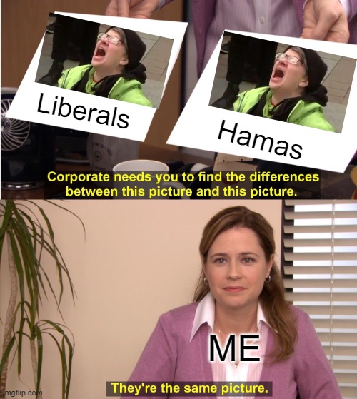 They are the same | Liberals; Hamas; ME | image tagged in memes,they're the same picture | made w/ Imgflip meme maker