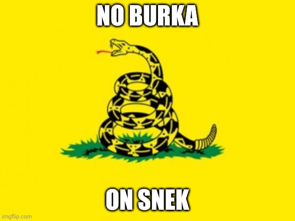 Gadsden Flag | NO BURKA ON SNEK | image tagged in gadsden flag | made w/ Imgflip meme maker