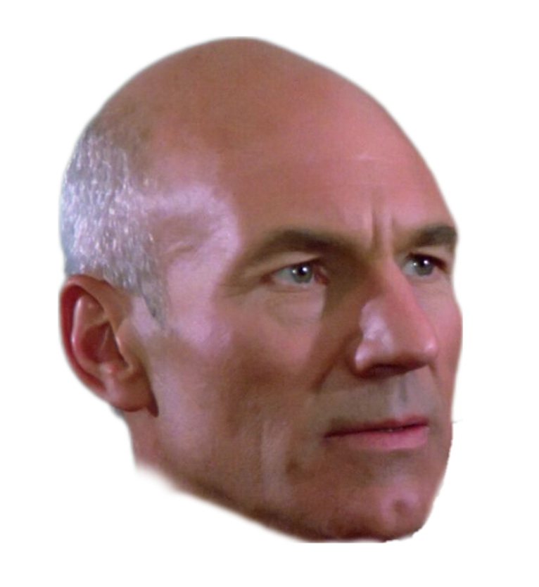 High Quality Picard head Blank Meme Template