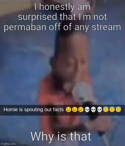 Homie is spouting out facts | I honestly am surprised that I'm not permaban off of any stream; Why is that | image tagged in homie is spouting out facts | made w/ Imgflip meme maker