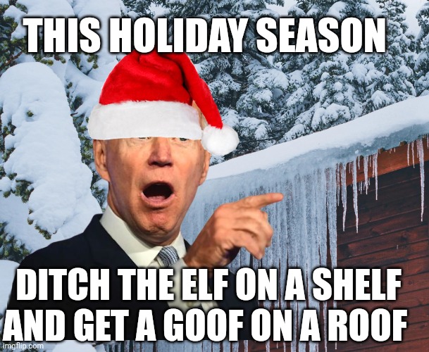 Joe biden | THIS HOLIDAY SEASON; DITCH THE ELF ON A SHELF AND GET A GOOF ON A ROOF | image tagged in holidays | made w/ Imgflip meme maker