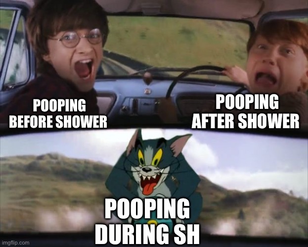 Before or after? | POOPING AFTER SHOWER; POOPING BEFORE SHOWER; POOPING DURING SHOWER | image tagged in tom chasing harry and ron weasly,pooping,shower | made w/ Imgflip meme maker