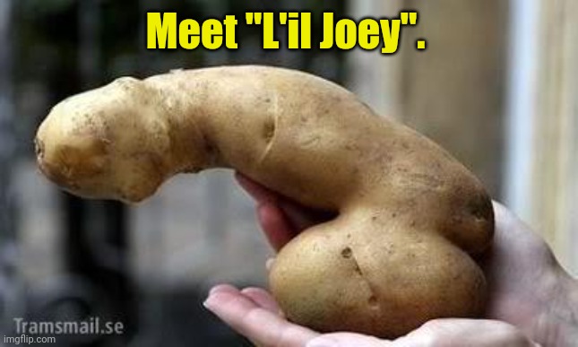 nasty potato | Meet "L'il Joey". | image tagged in nasty potato | made w/ Imgflip meme maker