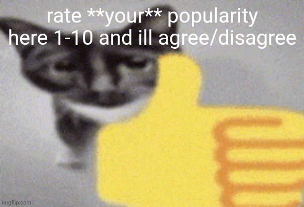 thumbs up cat | rate **your** popularity here 1-10 and ill agree/disagree | image tagged in thumbs up cat | made w/ Imgflip meme maker