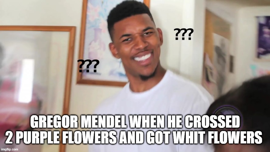 Gregor Mendel be like | GREGOR MENDEL WHEN HE CROSSED 2 PURPLE FLOWERS AND GOT WHIT FLOWERS | image tagged in black guy question mark,gregor mendel,genetics | made w/ Imgflip meme maker