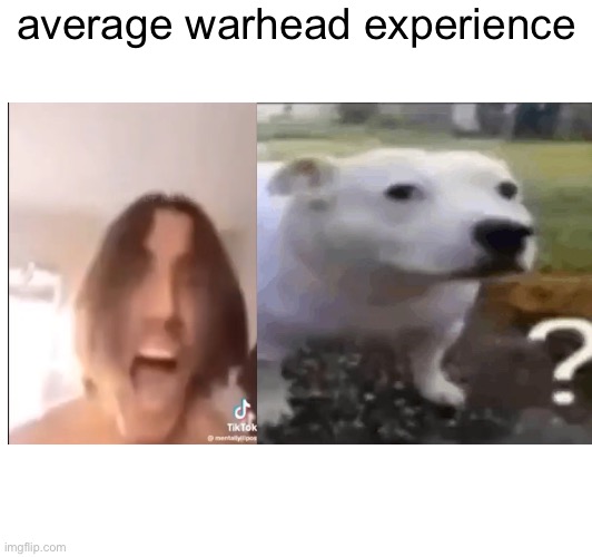 Pain | average warhead experience | image tagged in relatable,pain,help | made w/ Imgflip meme maker