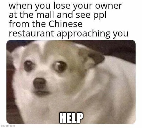 help | HELP | image tagged in help me,chinese | made w/ Imgflip meme maker