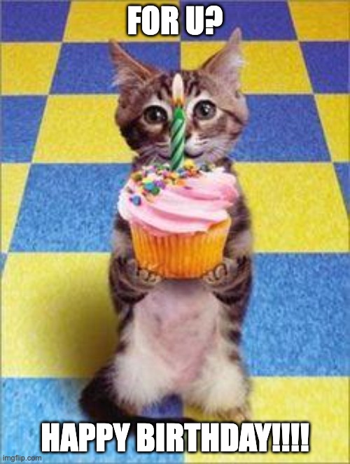 Happy Birthday Cat | FOR U? HAPPY BIRTHDAY!!!! | image tagged in happy birthday cat | made w/ Imgflip meme maker