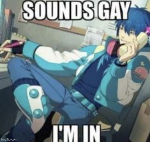 sounds gay, I'm in | image tagged in sounds gay i'm in | made w/ Imgflip meme maker