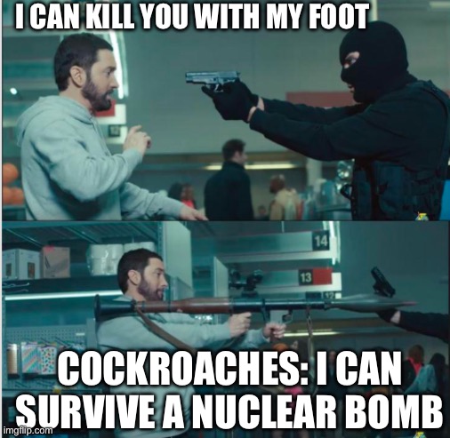 Cockroaches have weak body, strong body | I CAN KILL YOU WITH MY FOOT; COCKROACHES: I CAN SURVIVE A NUCLEAR BOMB | image tagged in eminem with rocket launcher | made w/ Imgflip meme maker